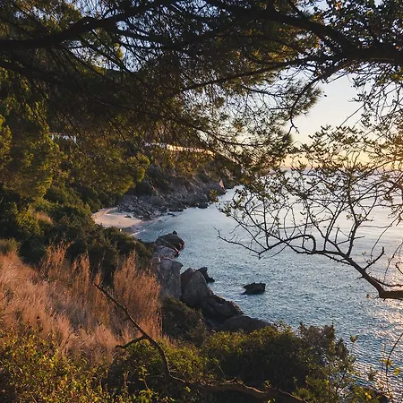 阿兰格斯酒店 酒店 塞图巴尔