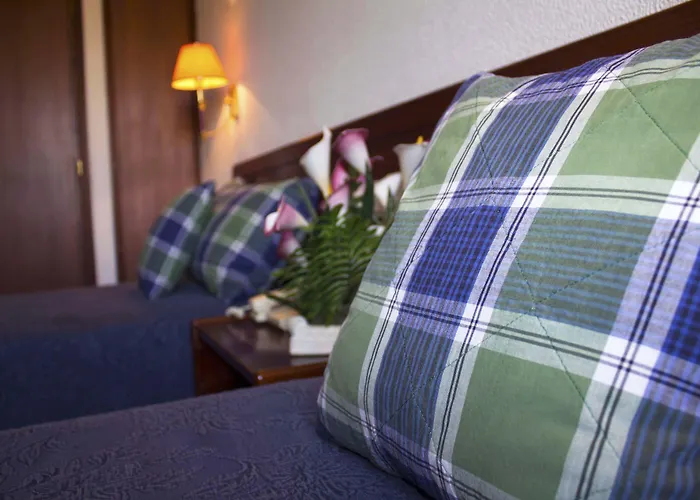 Hotel Arangues