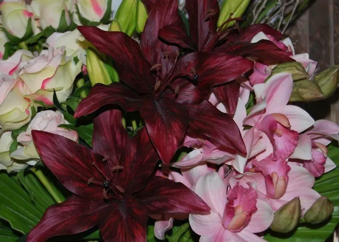 ホテル アレンギース 3*